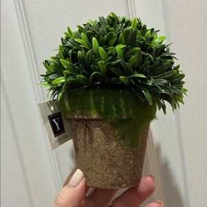 Home Accents Mini Green Faux Plant